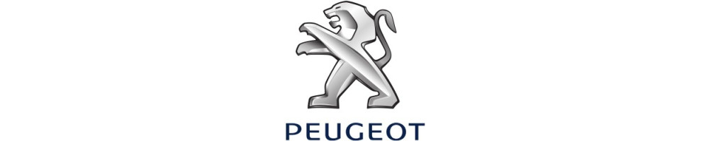 PEUGEOT valytuvai