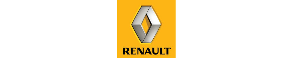RENAULT valytuvai
